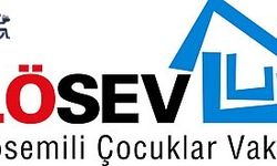 BASIN DAVETİ-LÖSEV