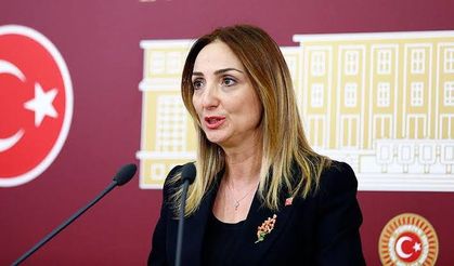 CHP’den Aylin Nazlıaka, Engelliler Çalıştayı Sonuç Bildirgesini Paylaştı